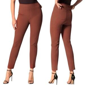 SPANX Chic Brown Ankle Pants